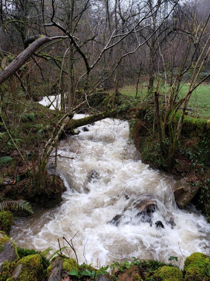 La Cabana Del Rio San Roque de Ríomiera Eksteriør bilde